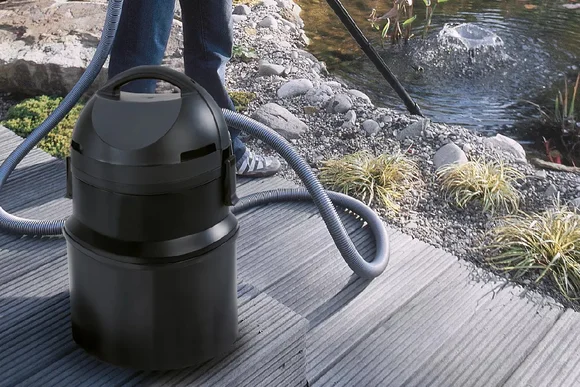 Teichsauger am Gartenteich